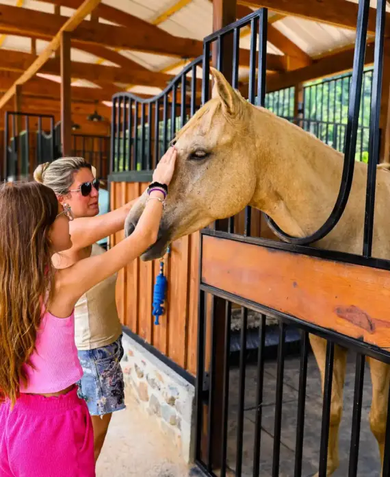 A mother and daughter petting a white horse inside the stables at Sleeping Giant.