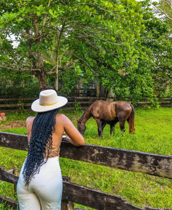 A guest watching horses from beside the fence at The Stables at Sleeping Giant.
