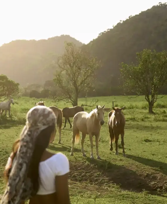 A guest watching horses in the corral at sunset at Sleeping Giant.