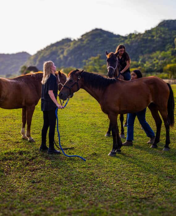 A group of girls grooming their horses in the pavilion at The Stables at Sleeping Giant.