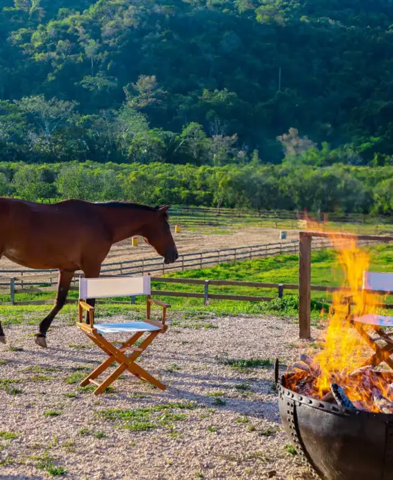 A horse walking by the campfire at The Stables at Sleeping Giant.