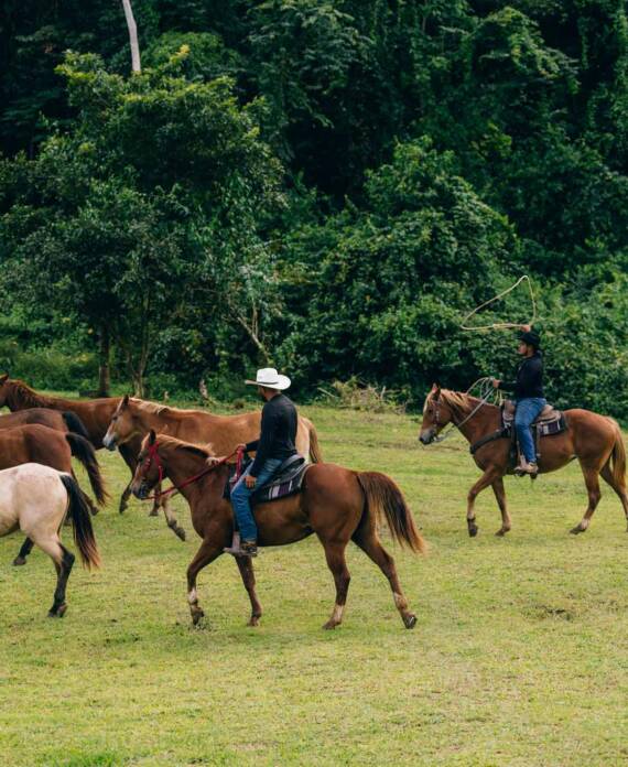 Wranglers gathering the horses at The Stables at Sleeping Giant.