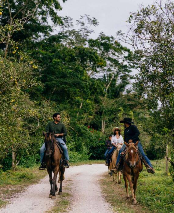 A group of guests riding horseback through the trails at Sleeping Giant.
