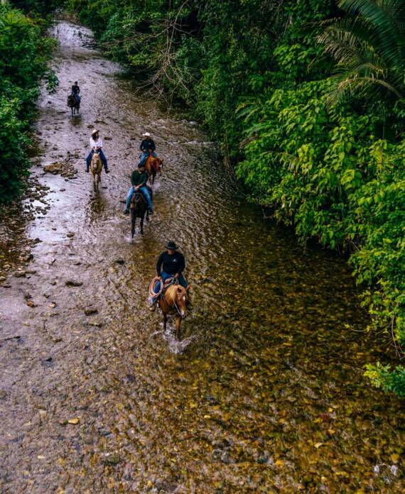 Grupo a caballo atravesando un río en la selva en el resort de selva tropical The Banks at Sleeping Giant en Belice.