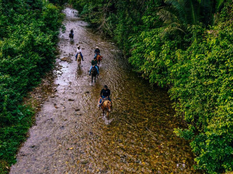 Group horseback riding through a jungle river at The Banks at Sleeping Giant rainforest resort in Belize.