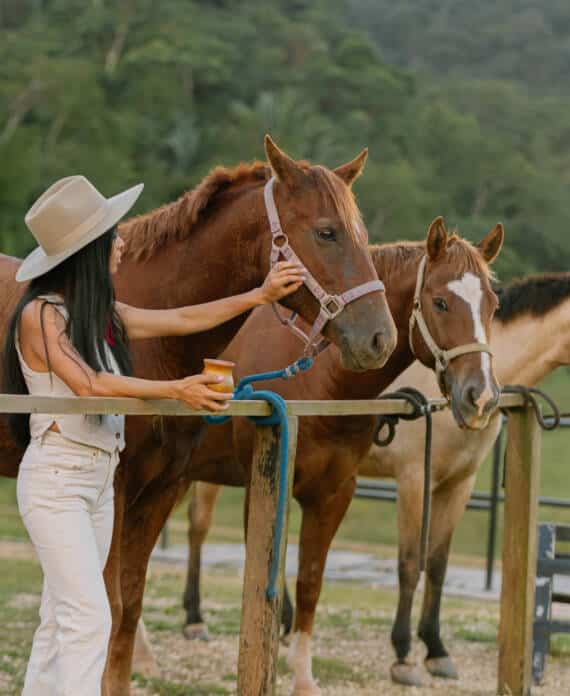 A woman petting a horse with two more horses tied to the corral in the background at The Stables at Sleeping Giant.