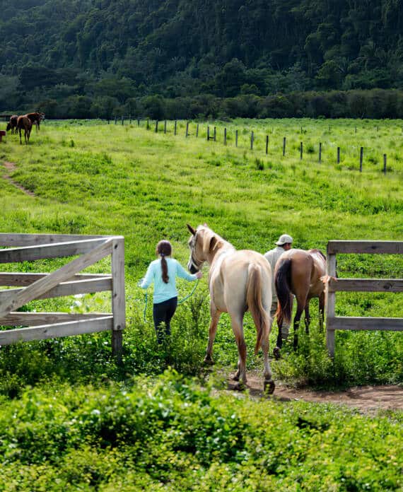 A girl leading two horses into the pavilion at The Stables at Sleeping Giant.