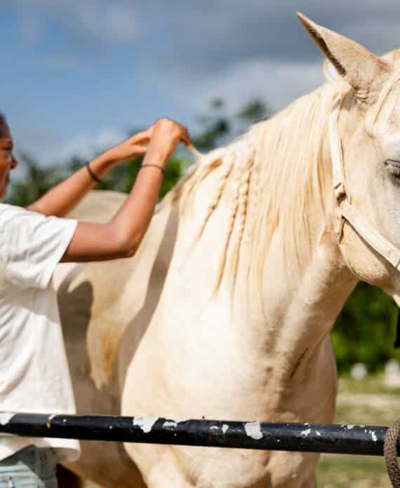 A young girl grooming a horse at The Stables at Sleeping Giant.
