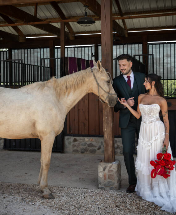 A newly married couple petting a white horse at The Stables at Sleeping Giant.